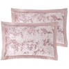 Catherine Lansfield Crushed Velvet Pillowsham Pair Blush