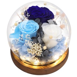 Eyesofspring Preserved Rose Flowers, Unique Floral Gifts for Women, Long-Lasting Real Flowers Bouquet to Show Love on Valentine's Day, Mother's Day,Birthday,Anniversary,Special days - Style5