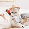 3 Pcs Cat Toy Ball Indoor Entertainment for Interactive Feather