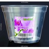 SMEREKA Orchid Pots with Holes Indoor Clear Plastic Plant Pot