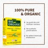 Indus Valley Organic 100% Pure and Natural Henna Hair Colour