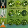 Paragonplast Pruning Shears Set for Gardening with Safety Lock, Sharp