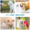 Schitec Dog Toy, Squeaking, Set of 8, Chewing Toy, Educational