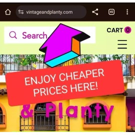 Unbranded *15*TUBERS ONLY* Bulbs Chinese Yam Dioscorea Plant Herbal Medicinal Hmong TCM