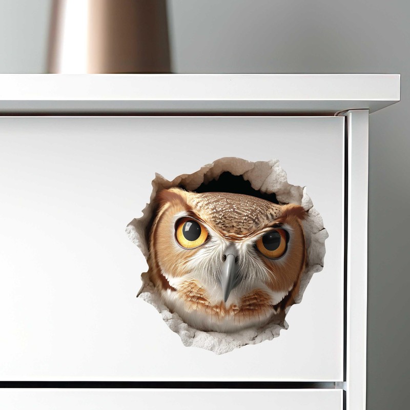 Owl Hole Wall Decal – 3D Forest Bird Sticker –