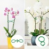 SANHIGHEND Plastic Plant Clips, Make Your Plants Tidy and Beautiful