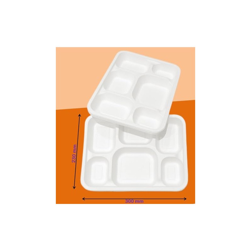 LARGE STRONG 6 Compartment Plates for LUNCH & DINNER Pack