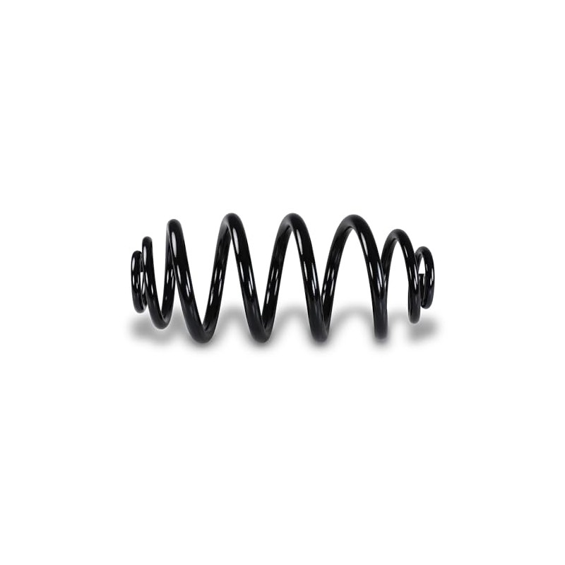 ATEC Germany 2 x Suspension Springs Rear Left & Right