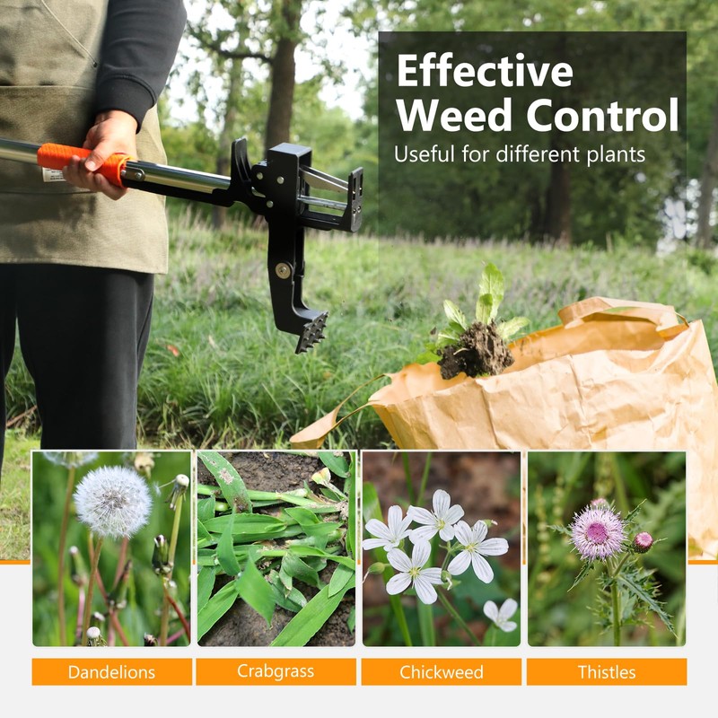 SHANTRA Weed Puller Tool, 4-Claw Stand Up Weed Puller Tool