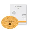 Dr Hauschka Cosmetic Cleansing Sponge, One Size