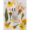 In Your Face CLARIFYING SERUM - 100% Natural, Salicylic Acid,