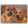 Petsigns Rhodesian Ridgeback - Dog Sign - Warning Sign -