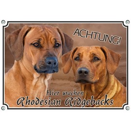 Petsigns Rhodesian Ridgeback - Dog Sign - Warning Sign - Solid Metal Sign, DIN A4