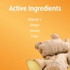 Hubner Ingwer Organic Bonbons, Ginger Hard Candy, 2.4 Ounce Bag