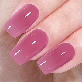 AILLSA Jelly Gel Nail Polish Violet Purple Translucent Gels Polish Jewel Grape Sheer Nail Polish Wine Color Dark Nail Gel Long Lasting Soak Off U V Gel for Nail Art at Home 0.51 Fl Oz /GB91