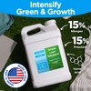 Superior 15-0-15 Liquid Lawn Fertilizer - Lawn Food for Growth