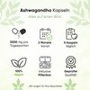Ashwagandha 365 Capsules | 3000 mg Daily Serving | Includes