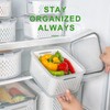 Freshmage Fruit Storage Containers for Fridge with Removable Colander 10