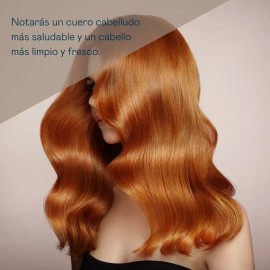 Shampoo Anticaspa - 0% Sin Sulfatos Ni Sal 1000 Ml
