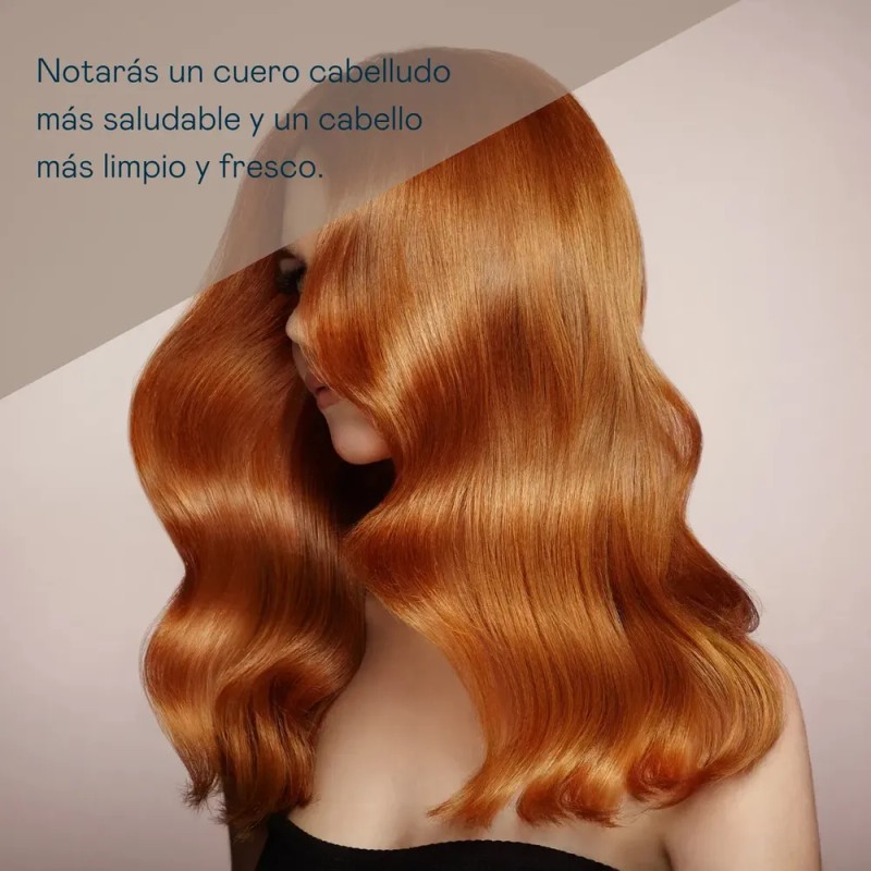 Shampoo Anticaspa - 0% Sin Sulfatos Ni Sal 1000 Ml