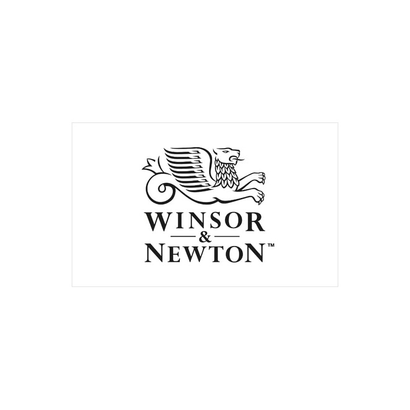 Winsor & Newton Willow Charcoal Thin Sticks, Grey, 24 Count