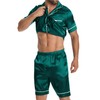 AIYINO Men's Silk Satin Pajamas Sets Short Sleeve Sleepwear Button-Down