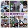 PetLove Dog Harness, Adjustable Soft Leash Padded No Pull Dog