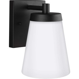 Sea Gull Lighting 8538601-12, Black
