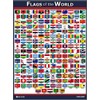 World Flags Educational Poster Laminated Young N Refined (15x20)