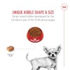ROYAL CANIN, Puppy - Chihuahua, Croquetas para Perro, 1.1kg