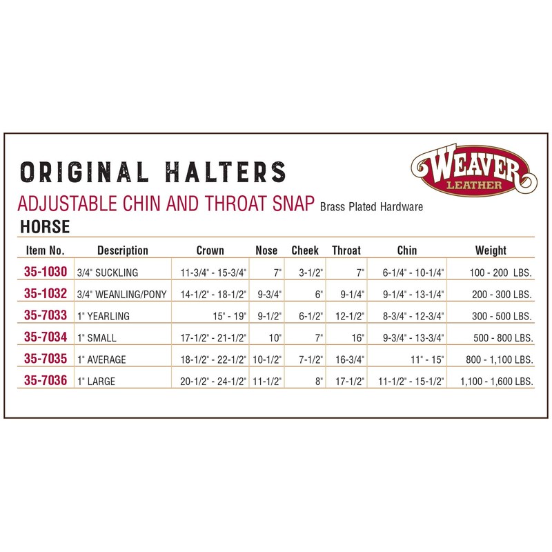 Weaver Leather Original verstellbares Nylon-Pferdehalfter, durchschnittliches Pferd, smaragdgrün
