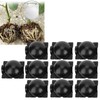 5 Set Reusable Plant Growing Grafting Rooting Devices High Pressure