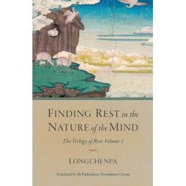Finding Rest in the Nature of the Mind: The Trilogy of Rest, Volume 1