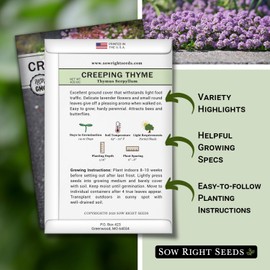 Sow Right Seeds - Creeping Thyme Seeds for Planting - Non-GMO Heirloom Packet with Instructions - Purple Groundcover Plant & Lawn Alternative - Perennial Herb Great for Filling Beds (1)