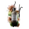 Kit Loreal Absolut Repair Mol Pre Trat Leave Serum Oil