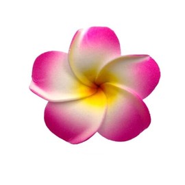 3pcs 3.5 Inch Women's Fashion Hawaiian Plumeria Flower Foam Hair Clip, 90mm (Hot Pink, White, Yellow) Fashion Headpiece