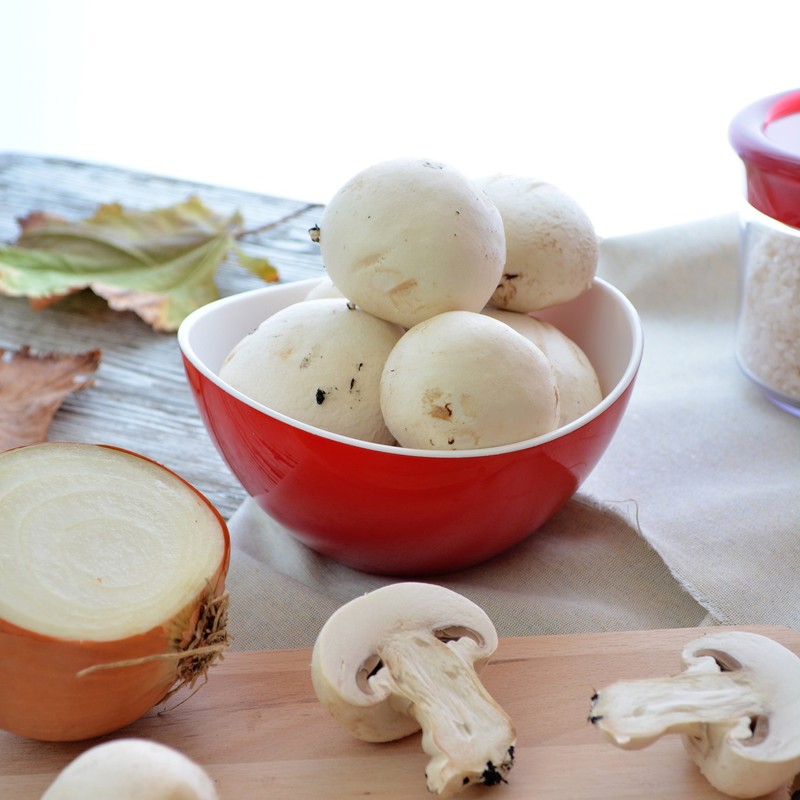 omada Design Set of 3 Plastic Bowls, Two-Tone, 40 cl,