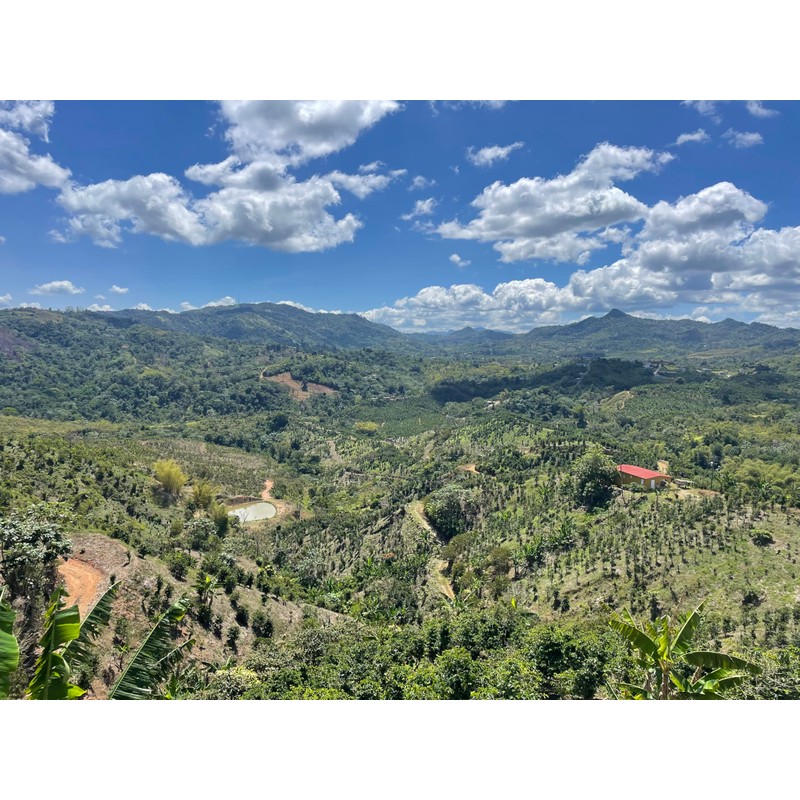 Julian Coffee - Ground Specialty Grade, Single Origin Arabica Coffee