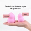 NO.8 Esponjas Para Maquillaje Cosmética Uso Húmedo Y Seco+estante