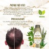 Shampoo Orgánico Ozonizado De Romero y Aloe Vera y Vitamina