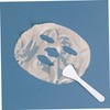 FOMIYES 80pcs Cosmetic Dispensers for Skin Care Application Spoons for