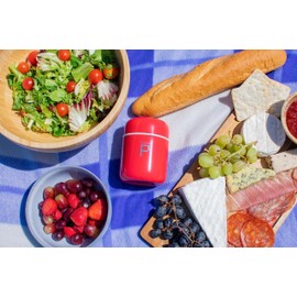 Pioneer Stainless Steel Vacuum Insulated Leak-Proof Food Pod Capsule Flask 6 Hours Hot 24 Hours Cold, Red, 280 ml