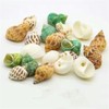 Natural Hermit Crab Shells, Hermit Crab Supply, Large Small and