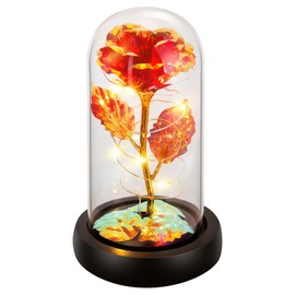 Birthday Gifts for Women,Christmas Rose Gifts for Women,Womens Glass Rose Gifts,Light Up Rose Flowers in Glass Dome,Colorful Red Flower Rose Mom Gifts for Her,Wife,Christmas,Thanksgiving,Anniversary