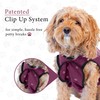 BellyGuard BellyGuard Recovery Suit for Dogs, Comfy Dog Surgery Suit,