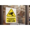 2 x 25cm Tall Funny Security Camera Sign Vinyl Stickers