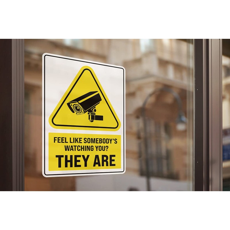 2 x 25cm Tall Funny Security Camera Sign Vinyl Stickers