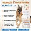 Dog Supplement Guard for Lumps and Bumps, 7 Organic Mushrooms