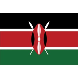 GLOBAL ADVERTISING SOLUTIONS 3x5 Country National Flag Made in USA Bright Colors Long Lasting and Weather Resistance Country State Flag only Without Pole kit and Mount (Kenya)