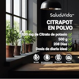 Salud&Vida Citrato de Potasio en Polvo | 830 mg de Potasio + 100 mg de Colágeno Hidrolizado por Porción | Apoyo Nutricional para el Bienestar Diario | 500 g (208 porciones aprox.) | Sin Sabor, Sin Gluten